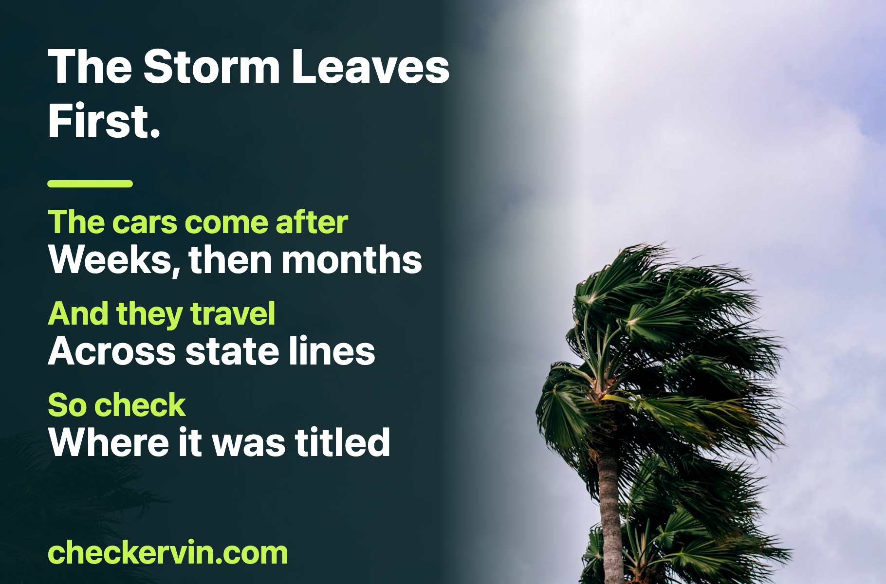 Palm trees bending in high wind under a heavy overcast sky before a storm